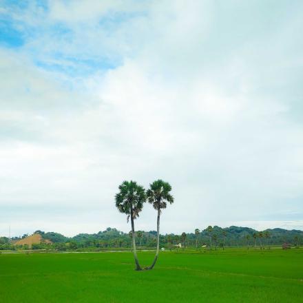 Panorama Wisata 