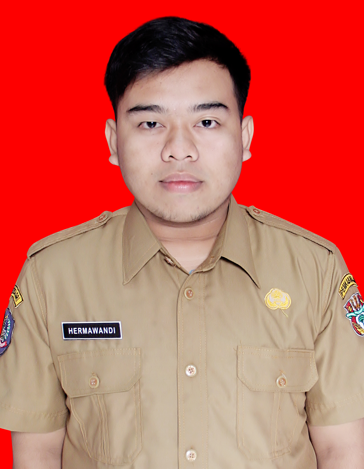 HERMAWANDI